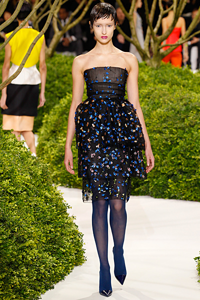 Dior - Haute Couture - 2013 Spring-Summer