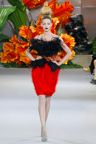 Dior - Haute Couture - 2010 Fall-Winter